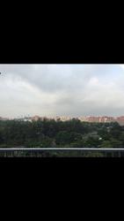 Park Green (D19), Condominium #76307062